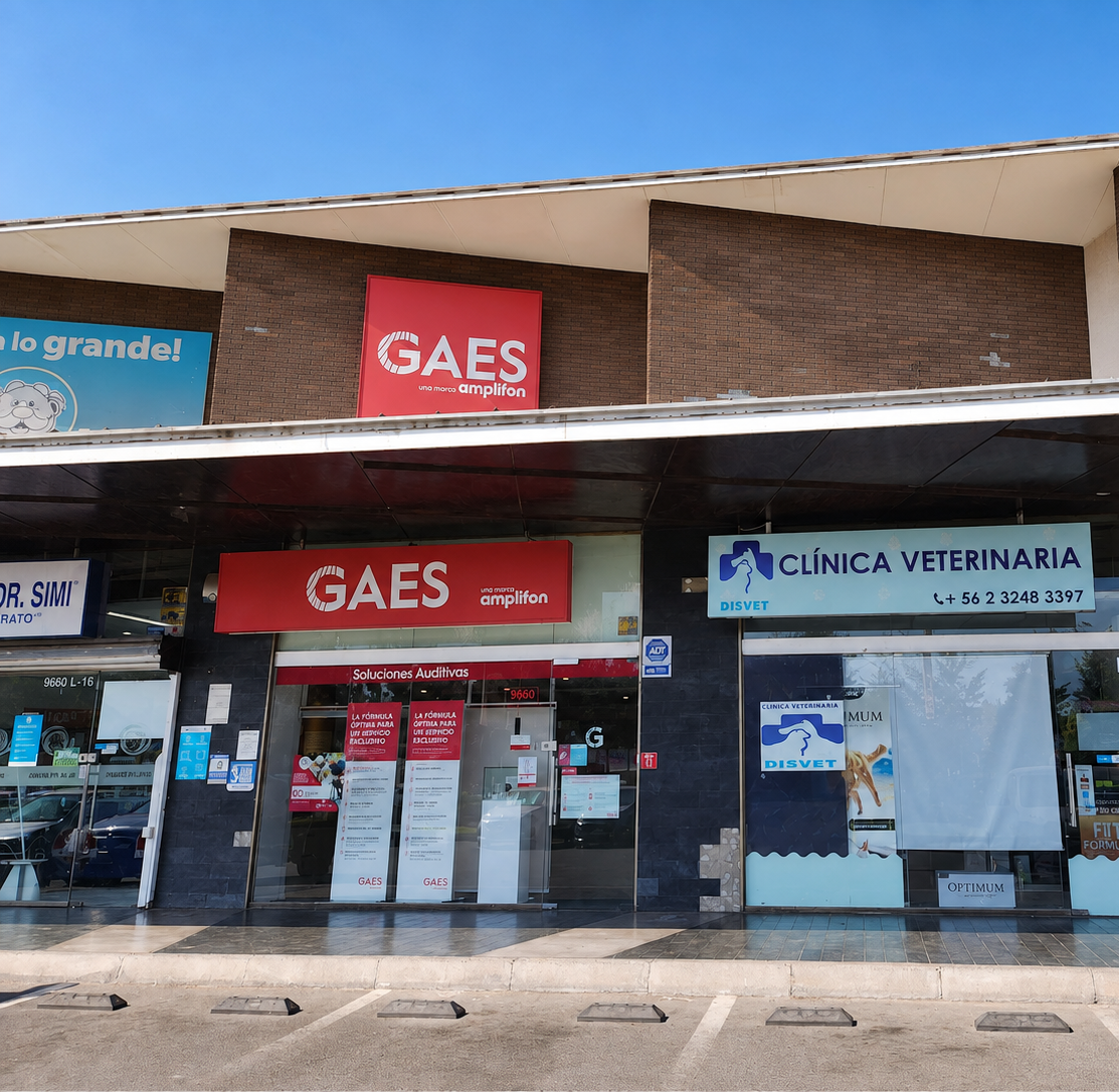 Local GAES a nivel de calle junto a otros servicios